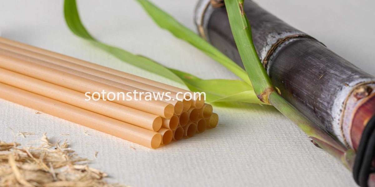 Yiwu Soton Daily Necessities Supporting Cultural Change Through Straws