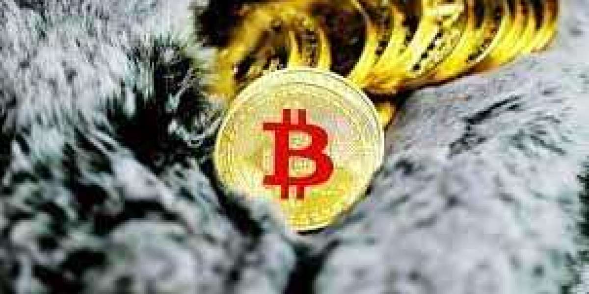 The Impact of Bitcoin on Cryptocurrency Regulations