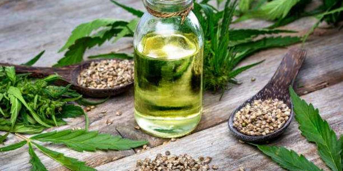 Pourquoi le CBD à Bayonne est-il en plein essor dans le Pays basque ?