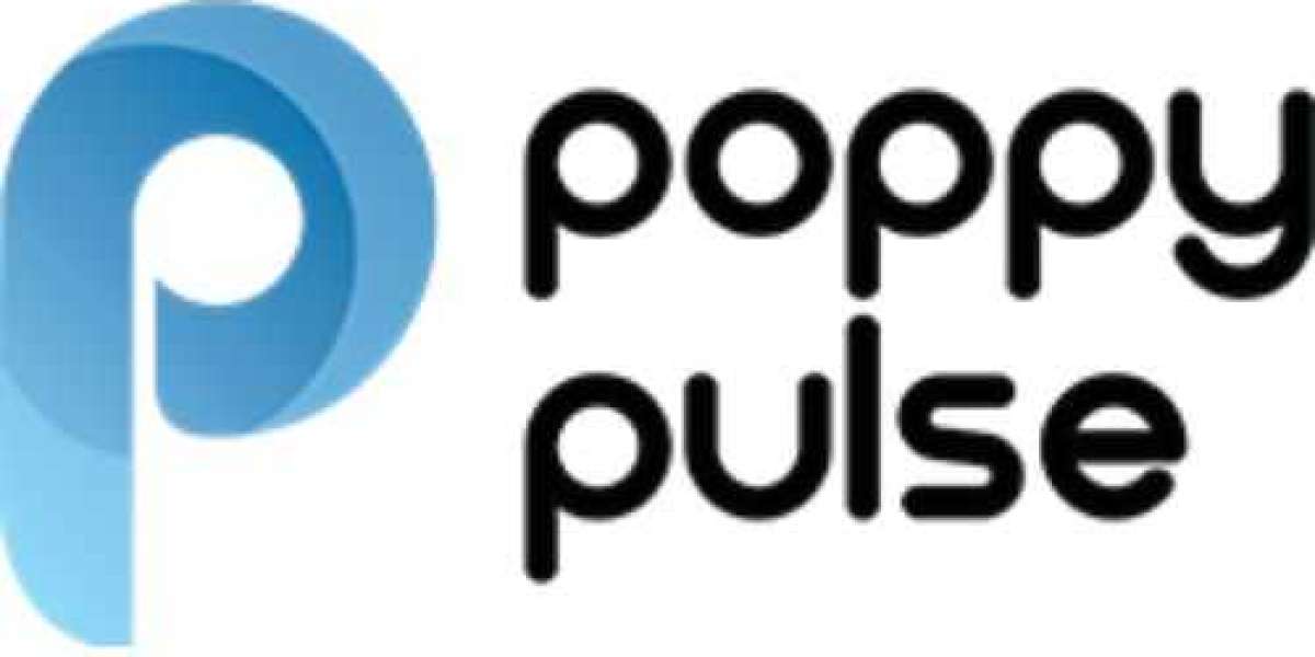 Poppy Pulse – Your Trusted Partner for Performance Marketing in Delhi & Noida