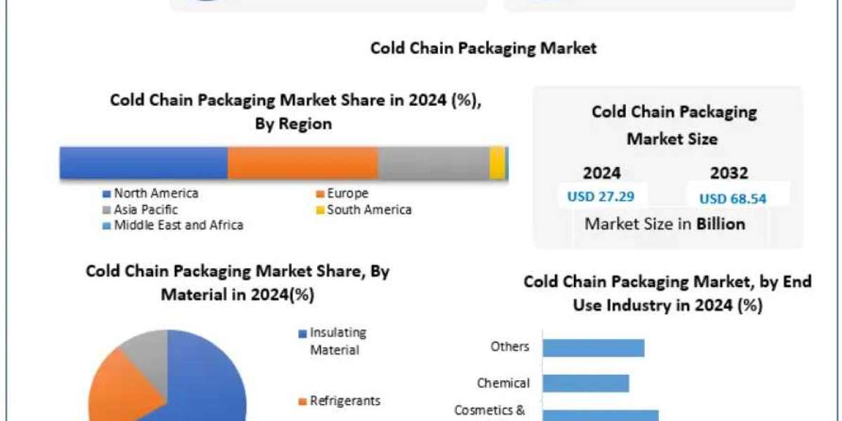 Cold Chain Packaging Market Supply Chain and Distribution Analysis 2025-2032