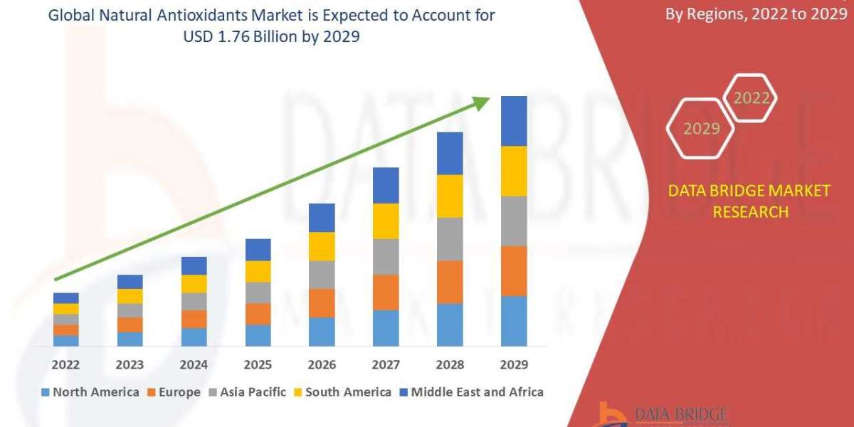 Natural Antioxidants Market Expands with Increasing Preference for Clean-Label and Healthy Foods