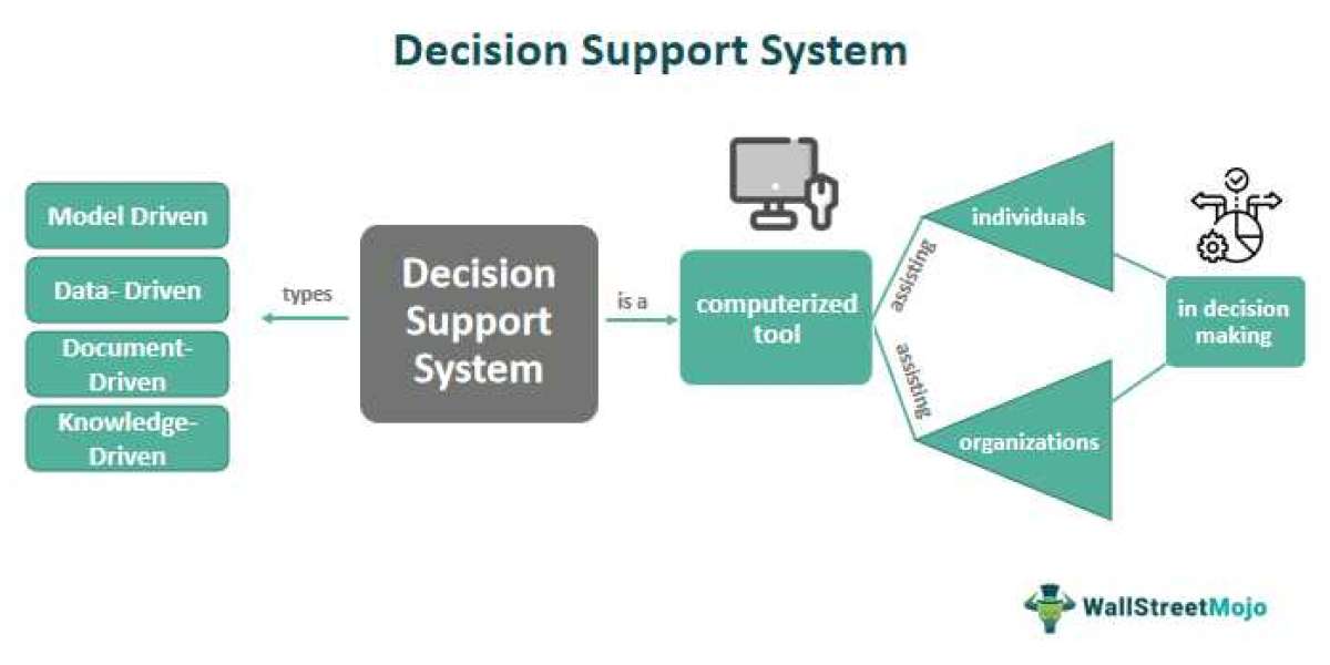 Decision Support Software Market Growth Outlook