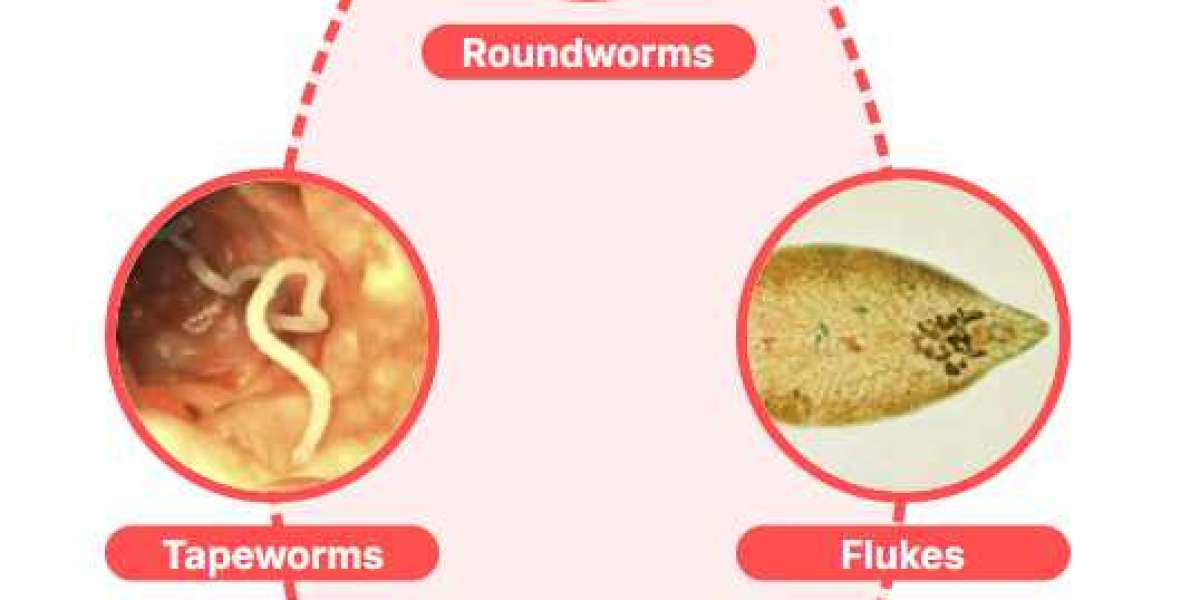 https://www.facebook.com/Clarexin.Intestinal.Parasite.Cleanse.Australia/