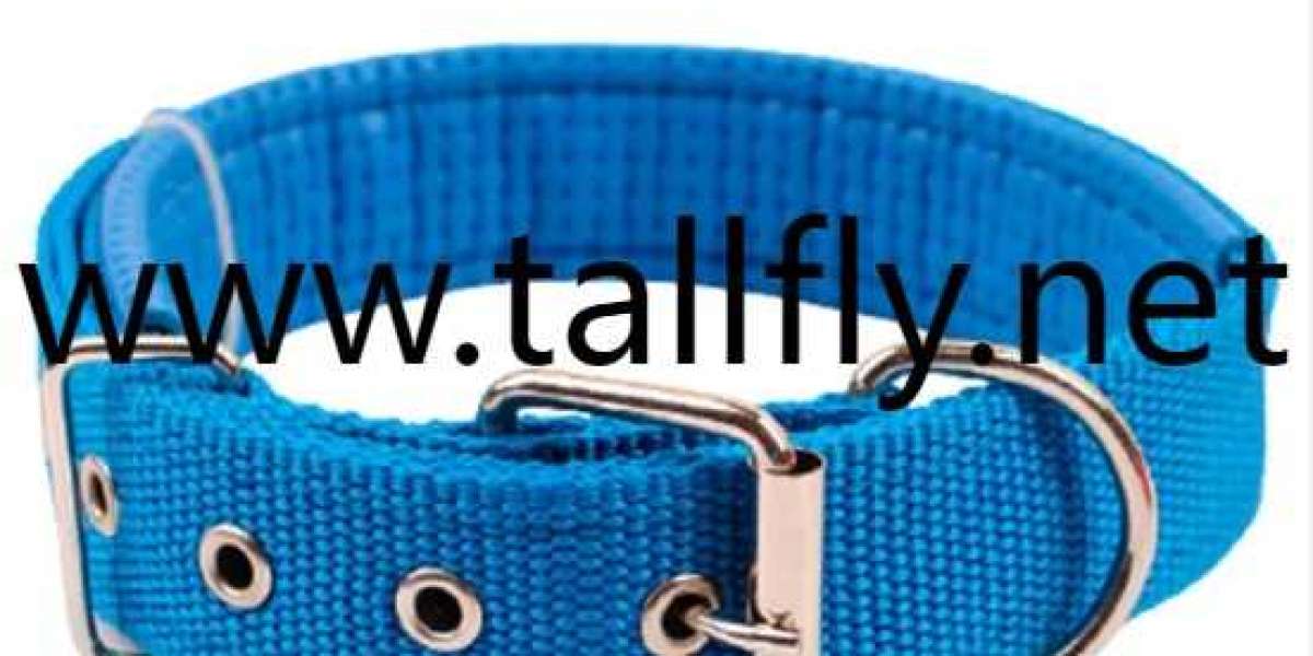 Tallfly Tips for Managing Pet Hair While Working from Home