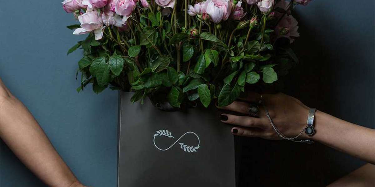 Easy-to-Grow Flowers for Beginners Who Want a Stunning Garden