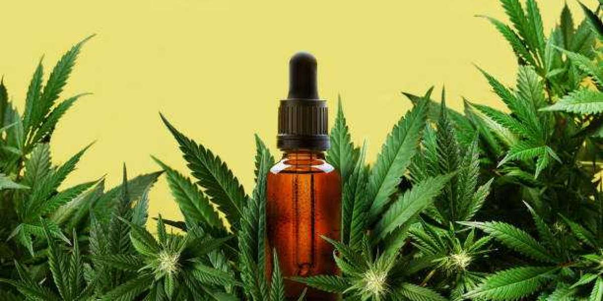 Pourquoi le CBD Niort séduit-il les adeptes de bien-être naturel ?