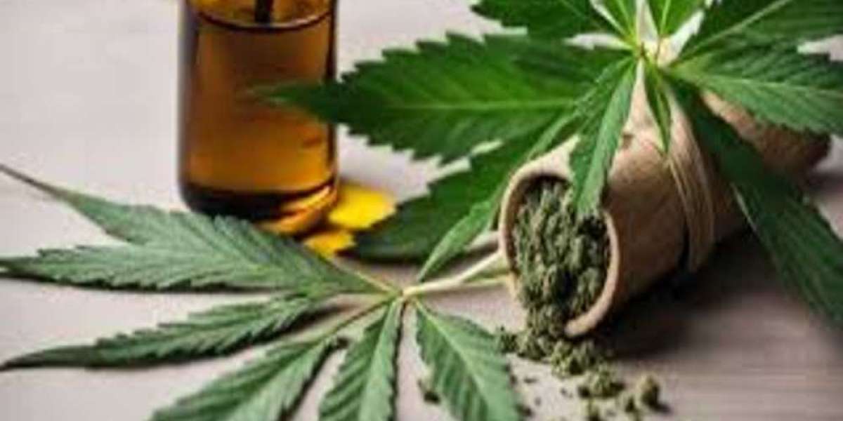 CBD Libourne : le choix naturel pour un bien-être authentique en Gironde