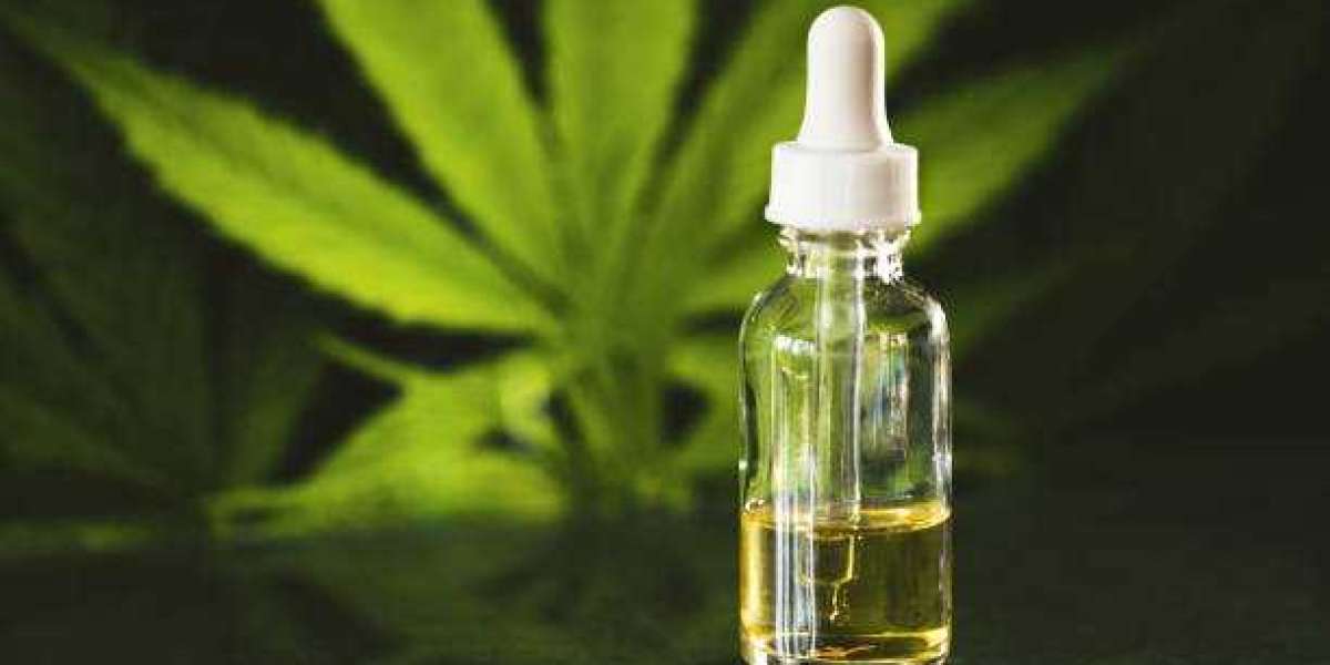 Le CBD Poitiers est-il le nouveau remède naturel préféré des habitants ?
