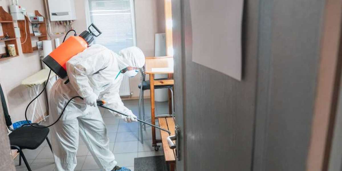 Mold Remediation Services