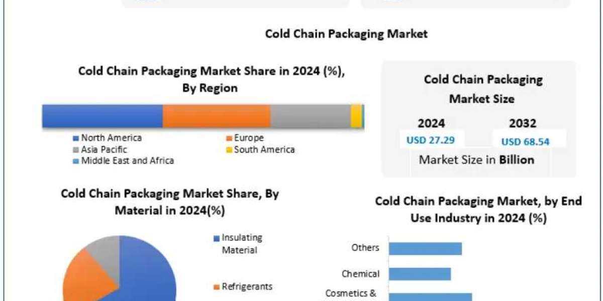 Cold Chain Packaging Market: The Impact of Rising Demand for Pharmaceuticals and Biologics 2032