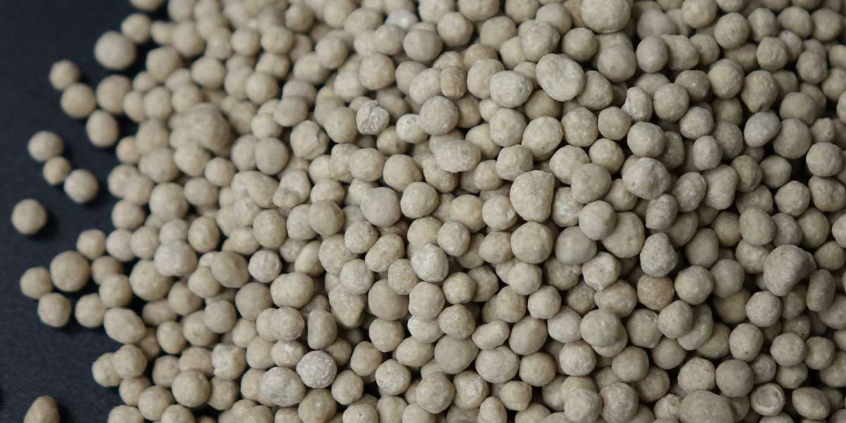 Indoor Plant Fertilizer a Complete Guide for Healthy Houseplants