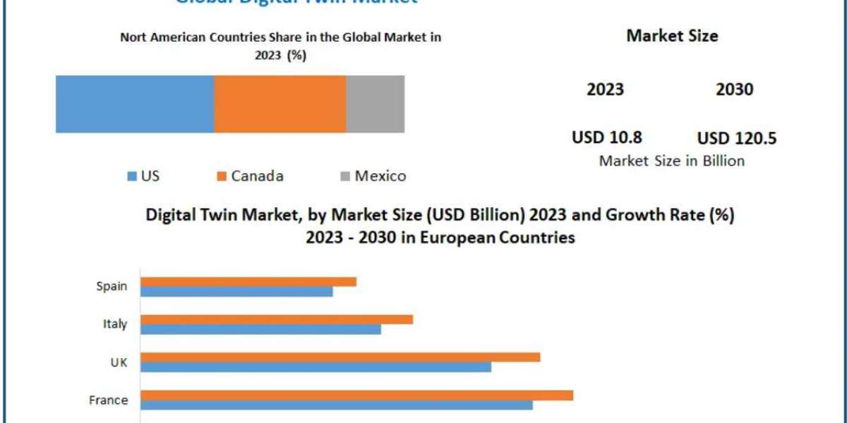 Digital Twin Market: Innovations in Healthcare for Personalized Medicine and Facility Optimization 2030
