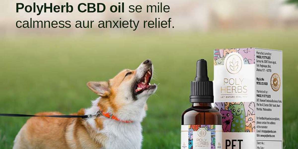 Holistic Care for Pets with CBD Oil for Dogs – Aarogya CBD