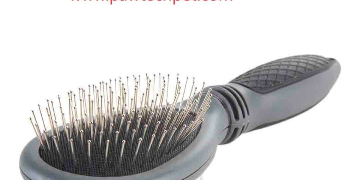 Which Pawtechpet Pet Brush Fits Household Needs