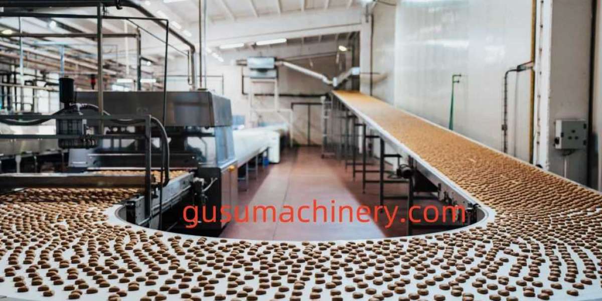 Why Choose Gusumachinery for Chocolate Chips Machine