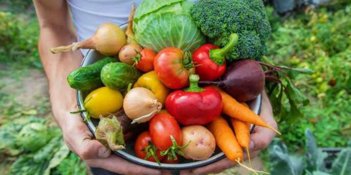 Explore Summer Vegetables in India Fresh & Healthy Options