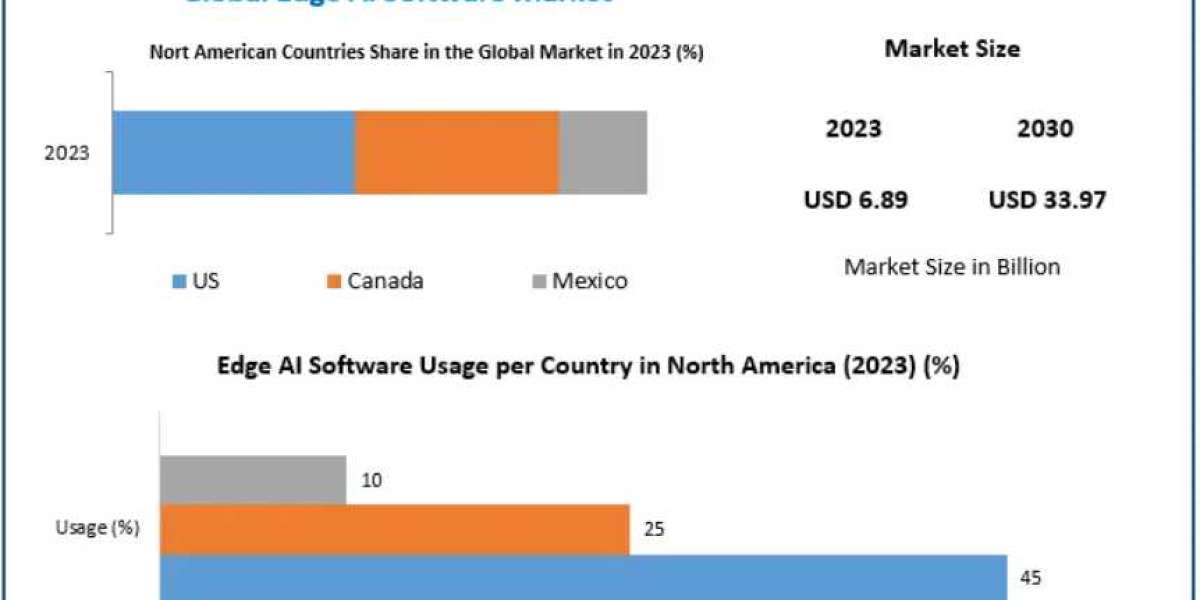 Edge AI Software Market: The Power of Real-Time Data Processing 2030