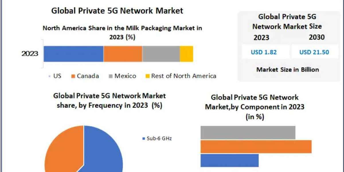 Private 5G Network Market: The Role of Low-Latency Connectivity in Mining and Oil & Gas Operations 2030