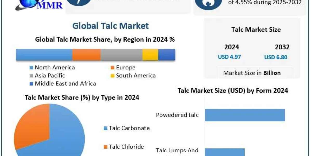 Talc Market Growth, Future Growth and Competitive Analysis Forecast 2025-2032