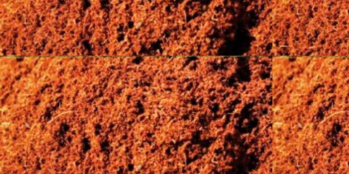 Everything You Need to Know About Coco Peat