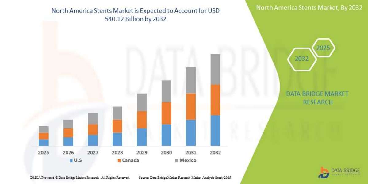 North America Stents Market : Trends, Analysis, and Competitive Landscape 2025 –2032