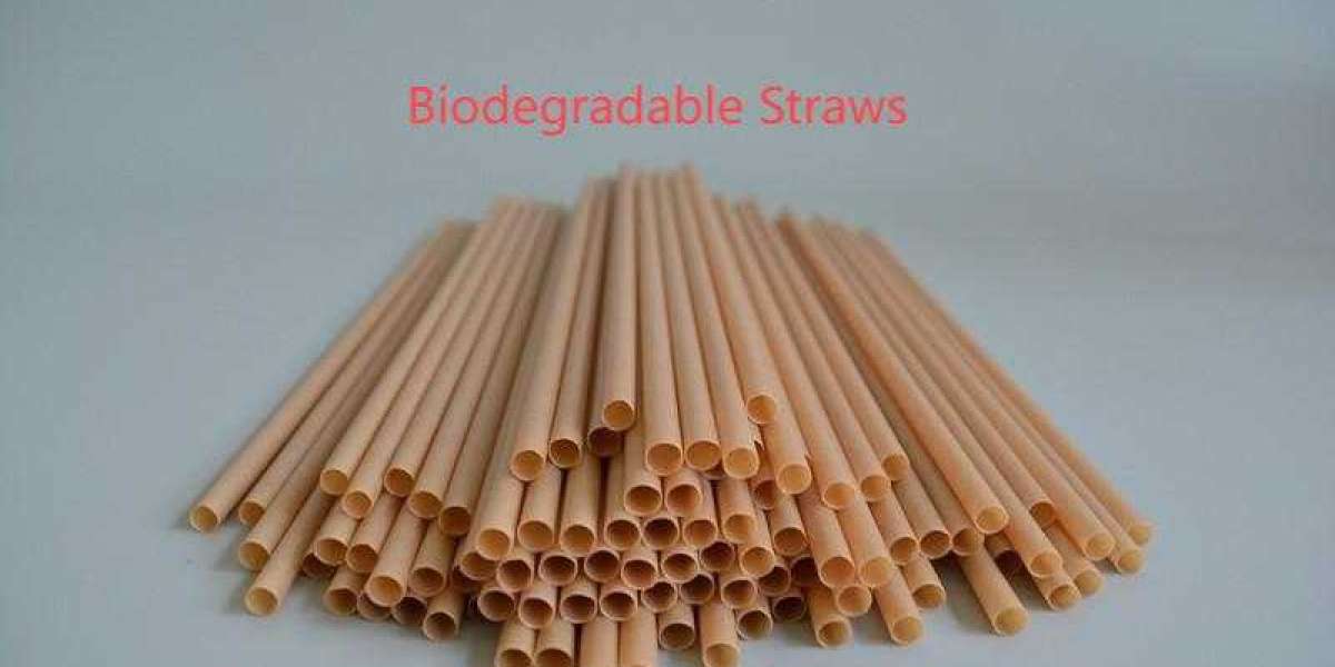 Soton Straws Offering Customizable Eco-Friendly Straws for Every Occasion