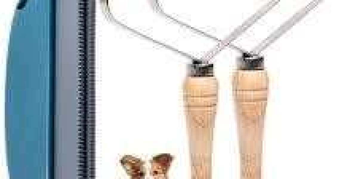 Pet Hair Scraper Supplier Options from Tallfly for Homes and Professional Spaces