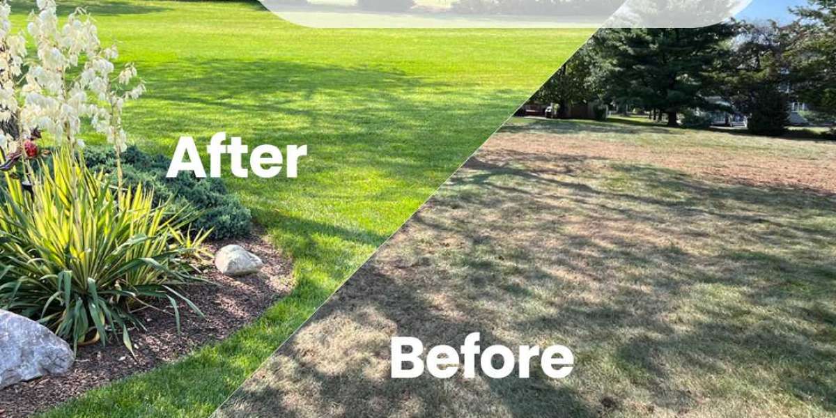 Five Rivers Landscaping – Expert Landscape and Gardening Services in Brisbane