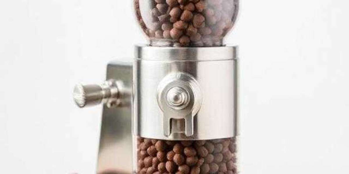 Chocolate Enrober Flexibility with Gusumachinery Solutions