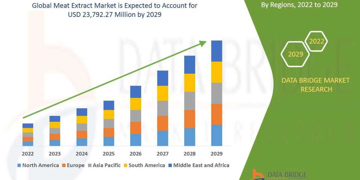 Meat Extract Market Scope, Segmentation and Key Insights 2025–2032
