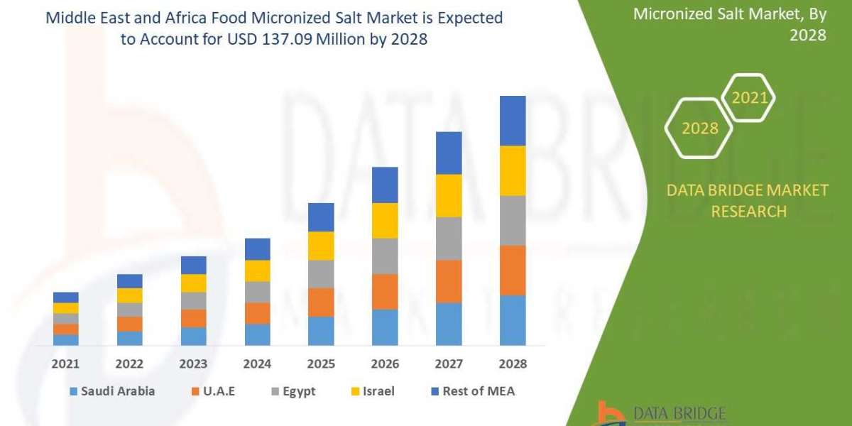 Middle East and Africa Food Micronized Salt Market Scope, Segmentation, and Key Insights 2025–2032