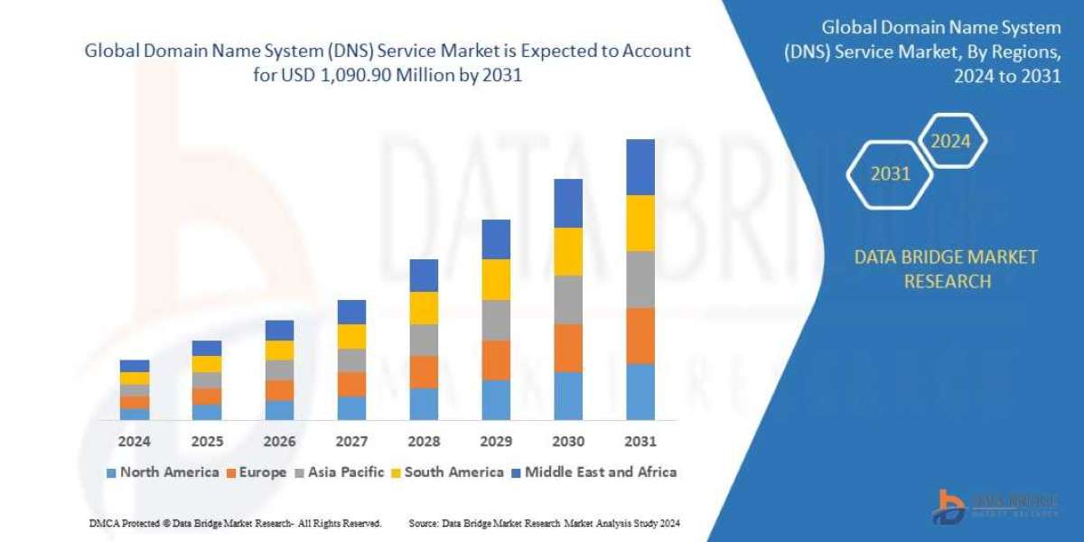 Domain Name System (DNS) Service Market Accelerates Amid Rising Internet Infrastructure Needs