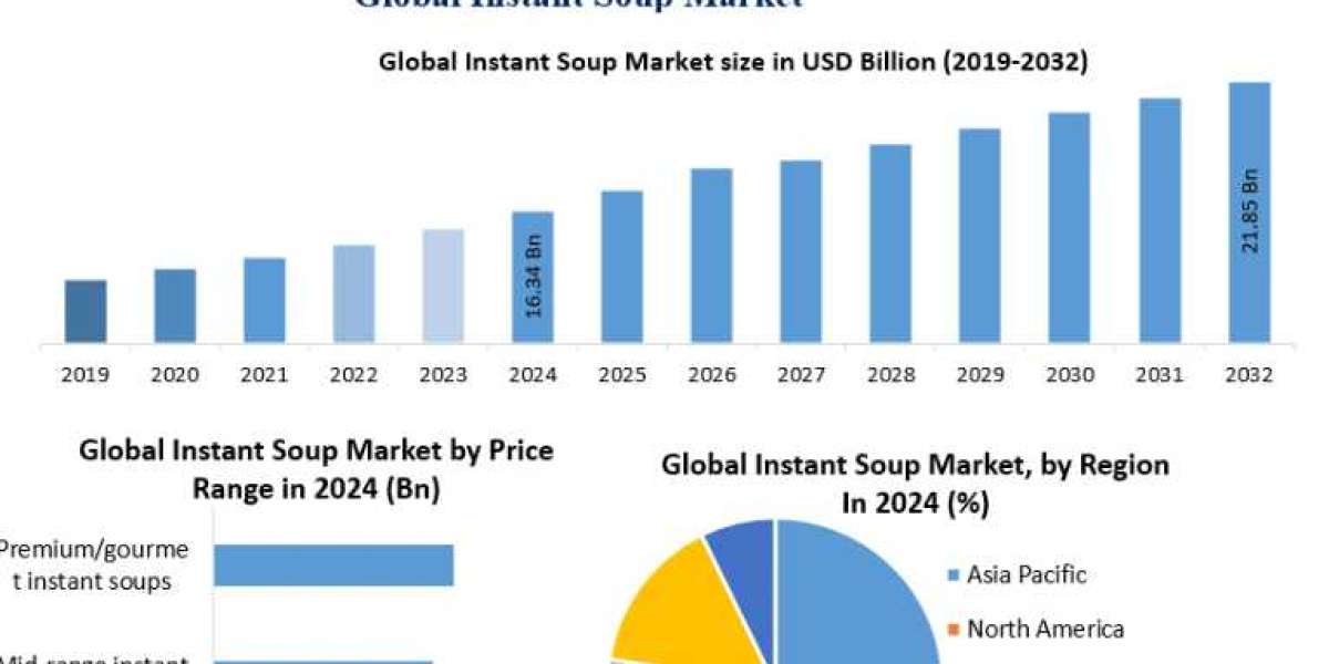 Instant Soup Market Growth Forecast: Key Drivers and Emerging Opportunities