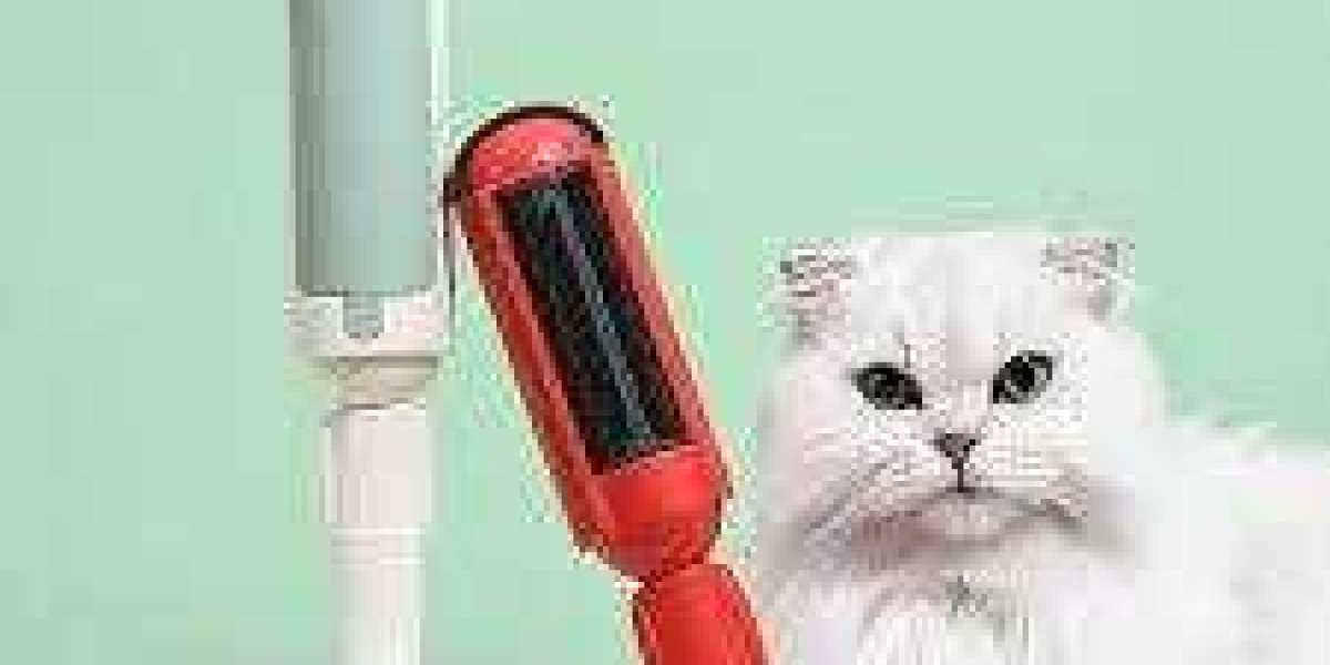 Innovative Hair Remover Roller Tallfly: A Sustainable Way to Keep Homes Fur-Free