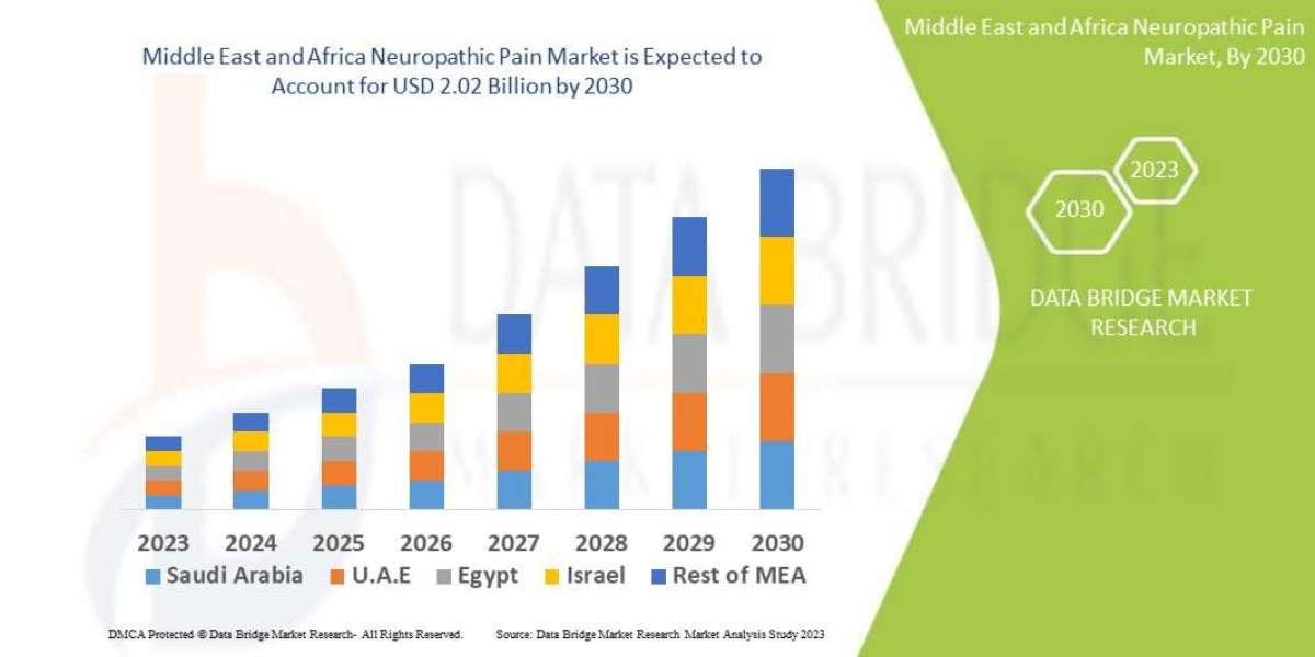 Middle East and Africa Neuropathic Pain Market Strengthens with Growing Neurology Research and Treatments