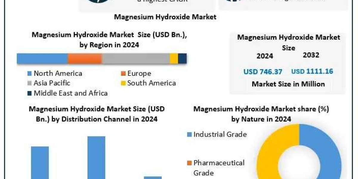 Magnesium Hydroxide Market Analysis, Segments, Applications Forecast 2025–2032