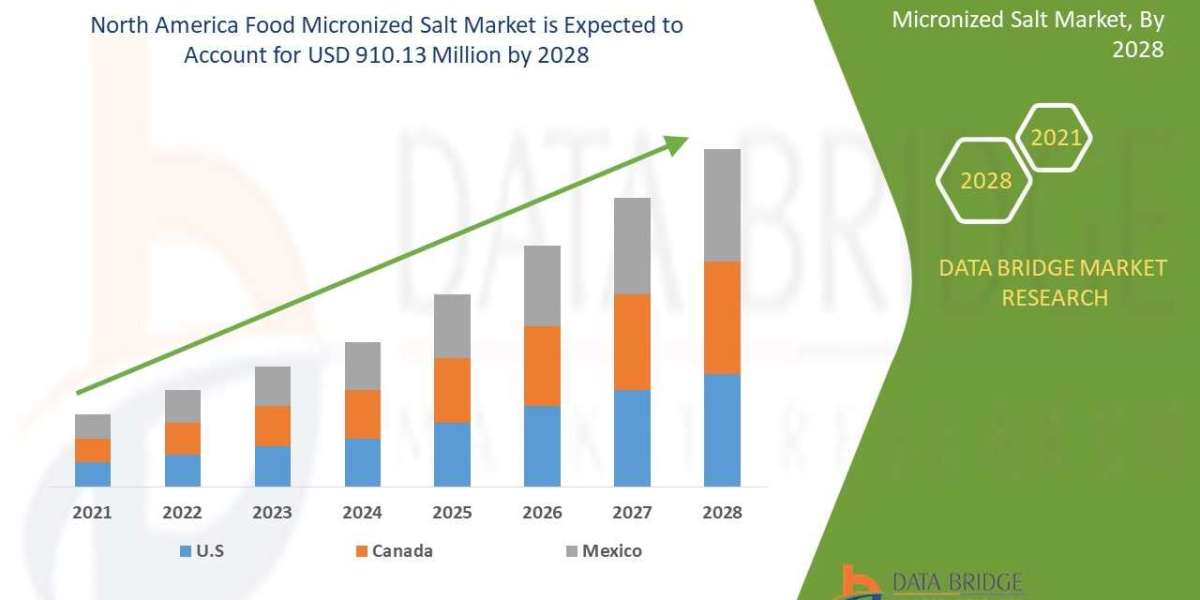 North America Food Micronized Salt Market Scope, Segmentation, and Key Insights 2025–2032