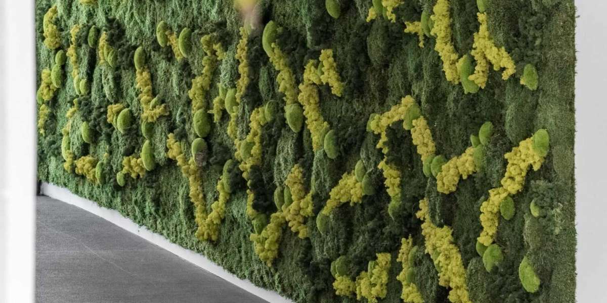 Jardines Ve Vertical rticales Madrid: La Mejor Opción para Decorar con Naturaleza y Estilo