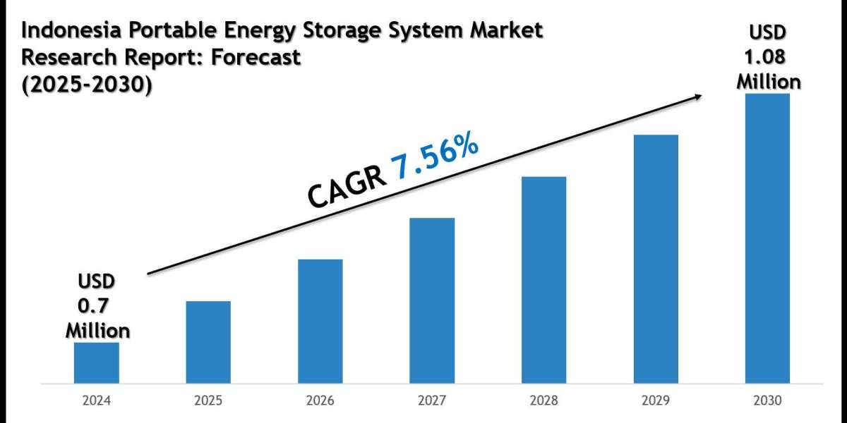 Indonesia Portable Energy Storage System Market 2030: Strategies of Forecast Insights