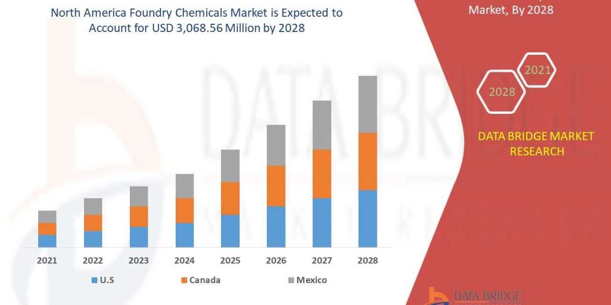 North America Foundry Chemicals Market Scope, Segmentation, and Key Insights 2025–2032