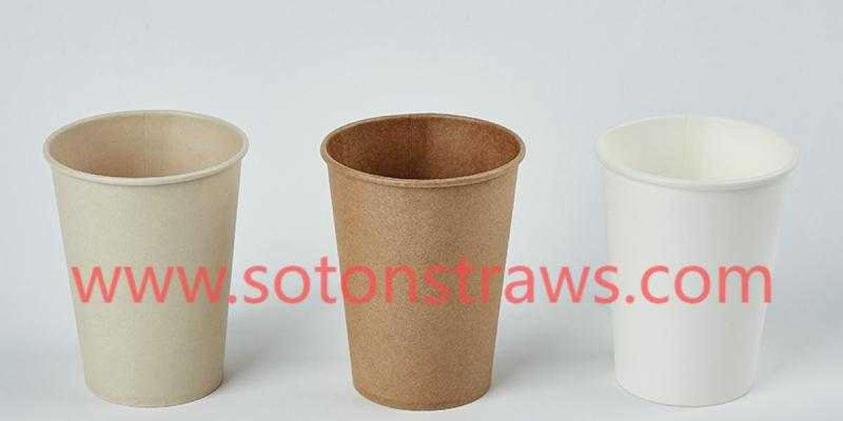 Soton Straws’ Sustainable Solutions with Disposable Paper Cups