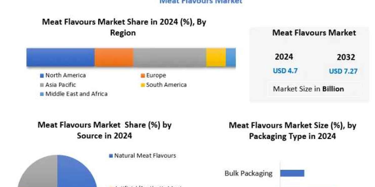 Meat Flavours Market Demand Forecast: Consumption Patterns and Key Drivers