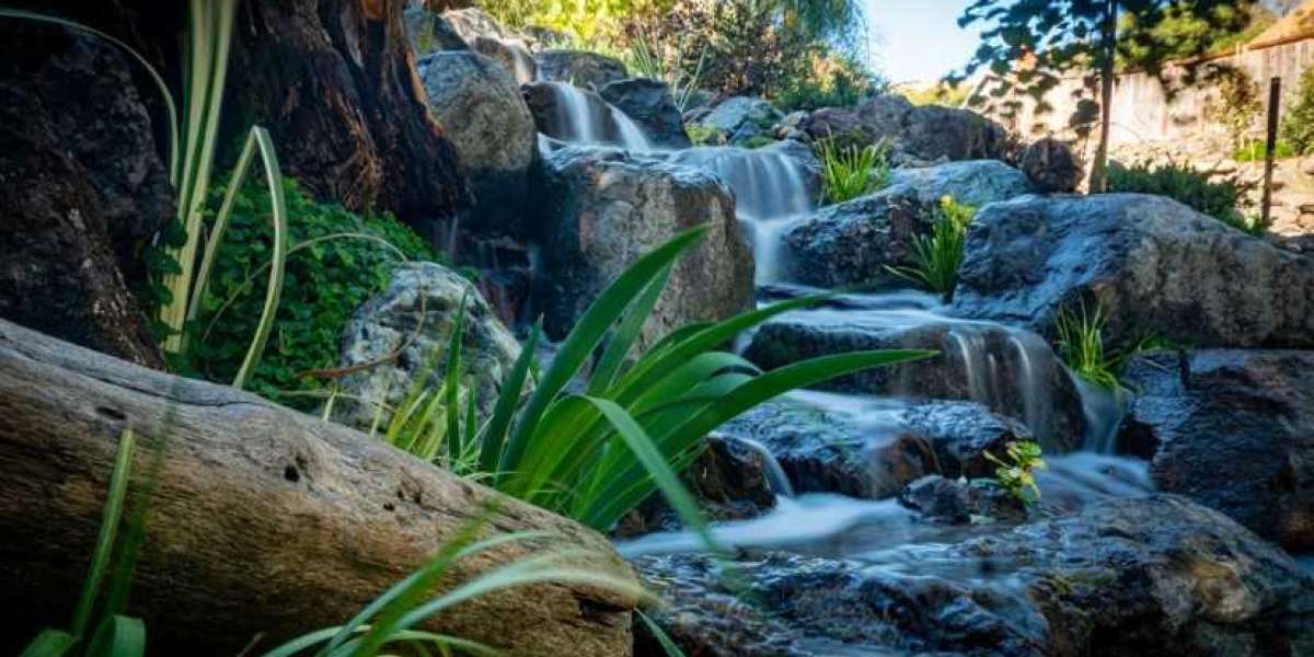 Trusted Aquascape Contractor Bay Area Design Build and Maintenance Services