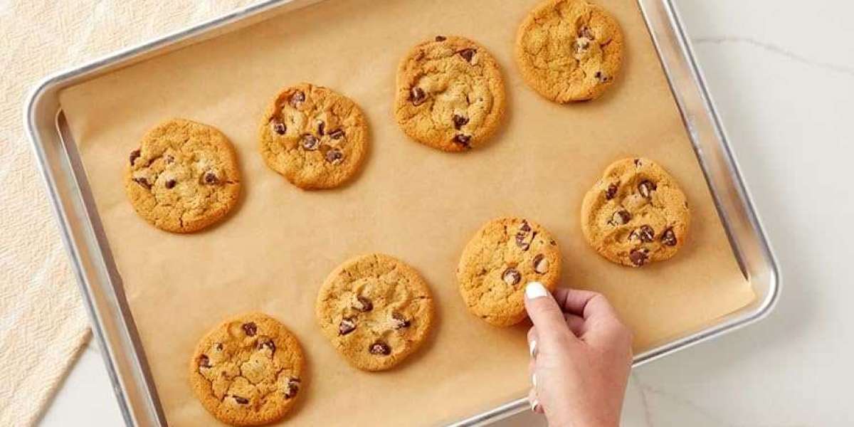 The Guanghepaper Promise Excellence as a Sale Parchment Paper Exporter