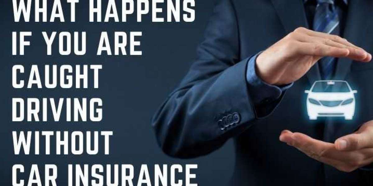 The Accidental Offence: A Driver's Guide to Avoiding the Insurance Traps