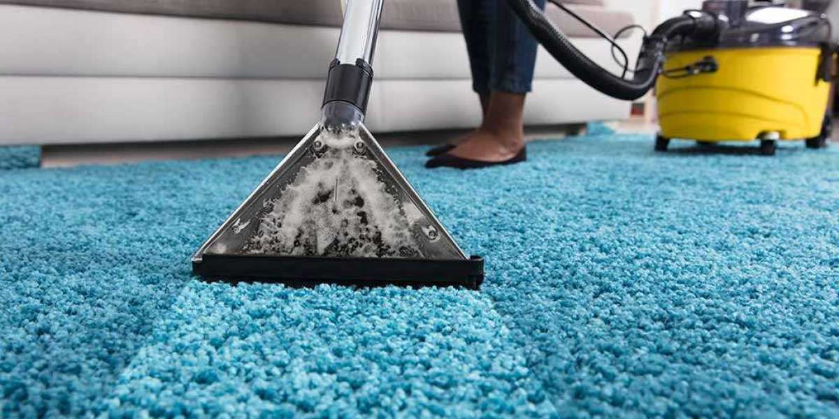 Carpet Cleaning Services That Lift Years of Dirt