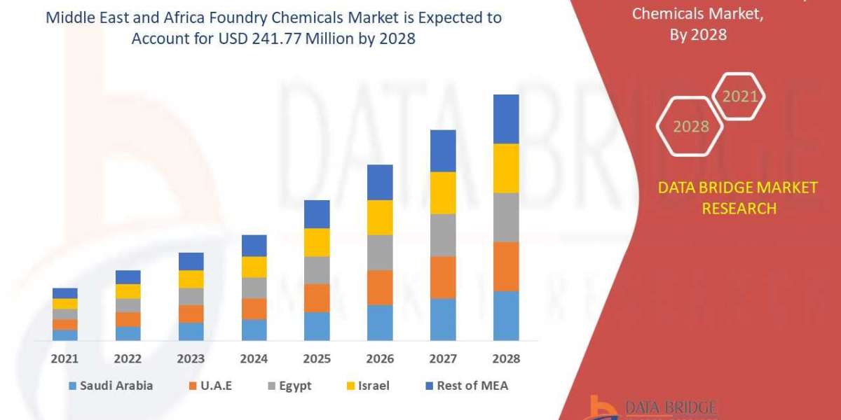 Middle East and Africa Foundry Chemicals Market Scope, Segmentation, and Key Insights 2025–2032