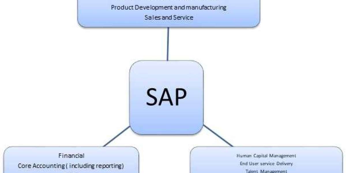 Why SAP Bookkeeping Services Are Essential for ERP-Driven Companies