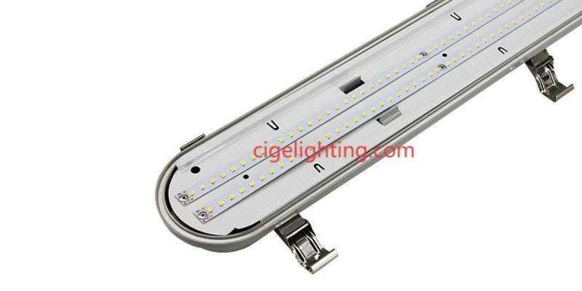 Innovative Solutions from Cigelighting 40w Triproof Light Development